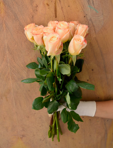 Peach roses ( 10 Pieces )