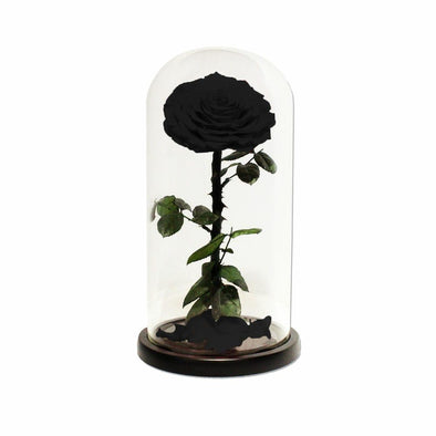 Black Infinity Rose