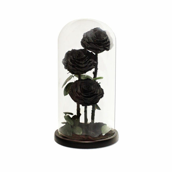 Black Infinity Roses