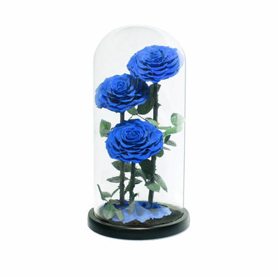 Blue infinity Roses
