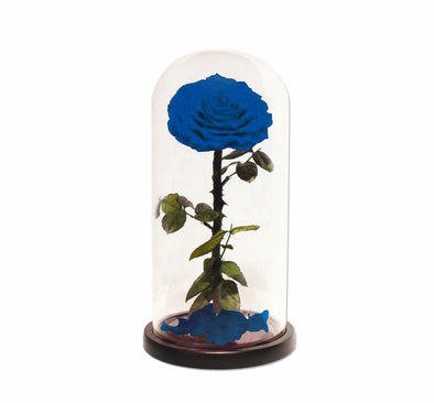 Blue infinity Single  Roses